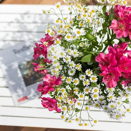 Apartment Strandloft Zwei *